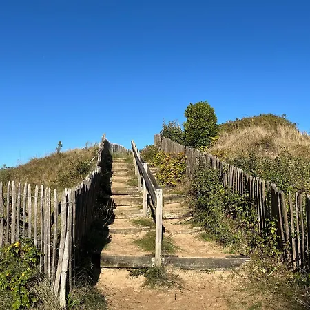 Appt Cosy 2 Min 5 Min Thalasso アパート *